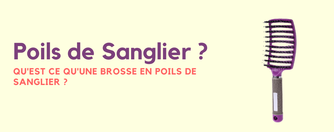 brosse en poils de sanglier