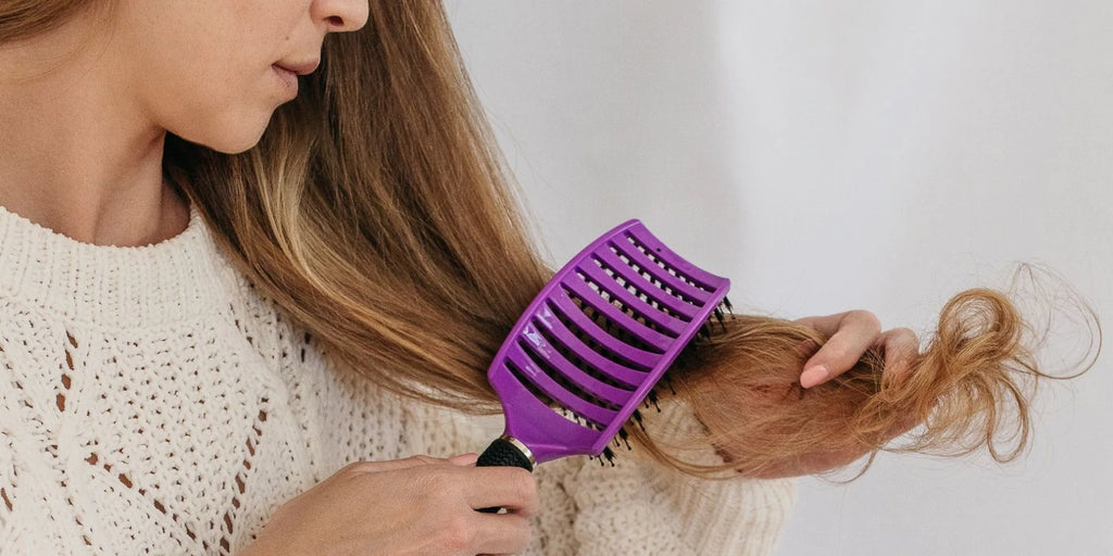 Brosser et Peigner vos cheveux Secs ou Mouillés