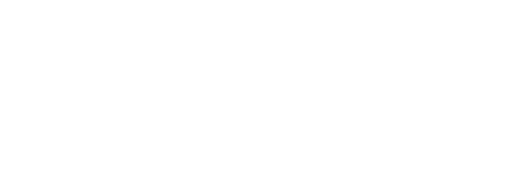 logo topbrush